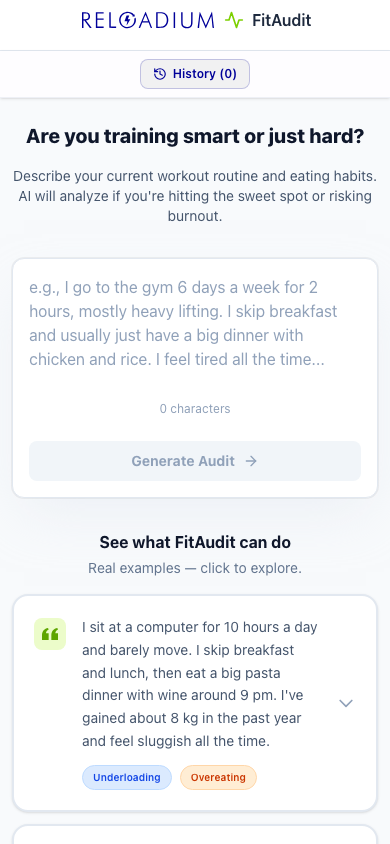 FitAudit mobile light
